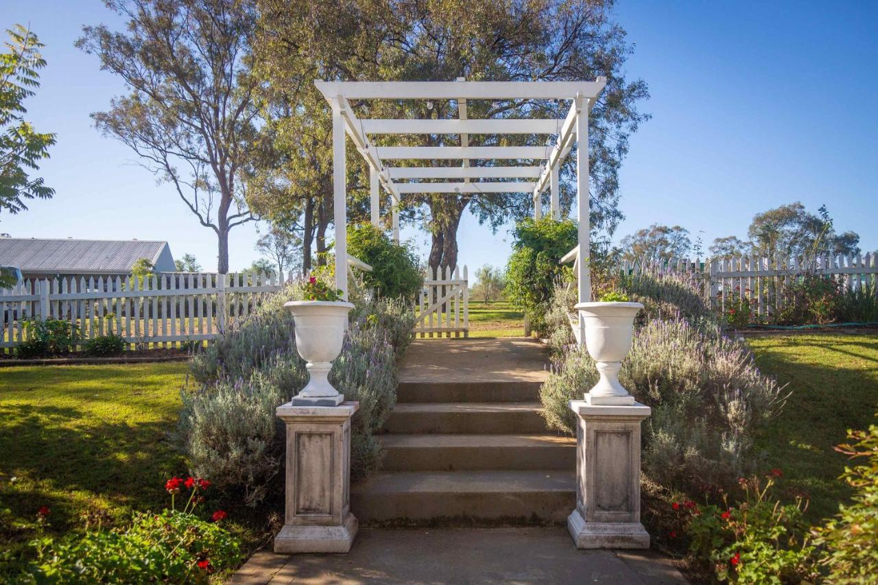 Villa Claremont Manor Lovedale Esterno foto